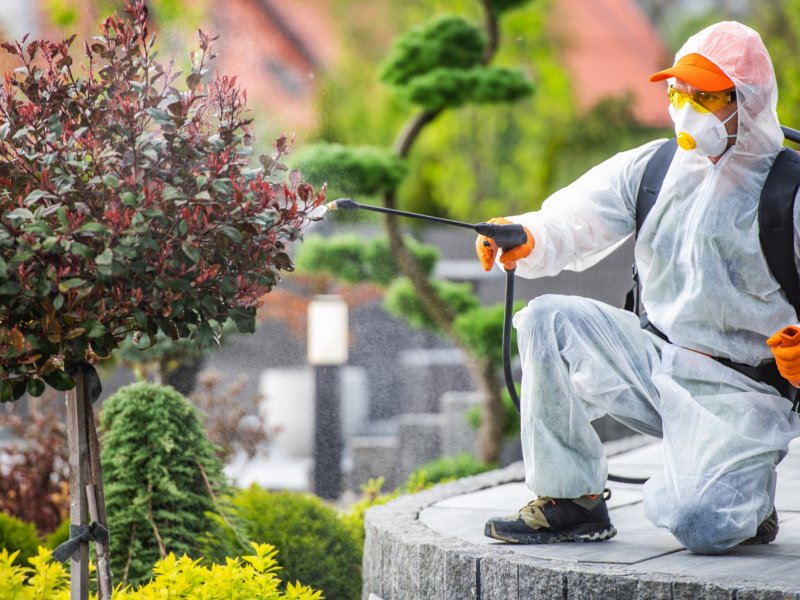 Kalkandere Haşere İlaçlama